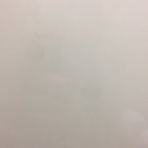 Meet your Posher, Leslee